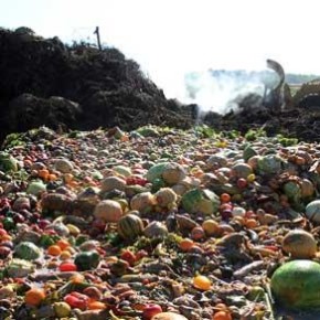 "Rispettiamo il cibo, combattiamo gli sprechi", il concorso per scuole che sensibilizza la comunità