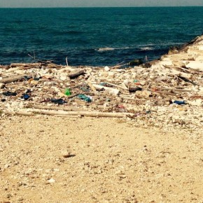 "Mare senza plastica" la campagna di informazione e pulizia promossa da AmbientePuglia