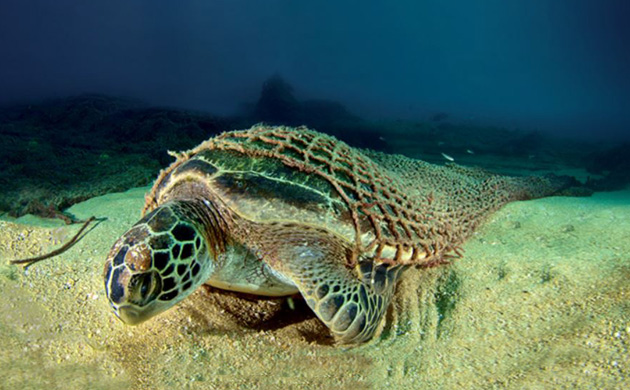 Creata la rete da pesca biodegradabile e rintracciabile - Ambiente e Pesca  - Mare 