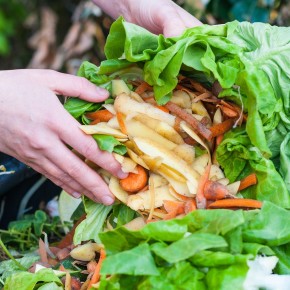 Finalmente è legge il ddl sullo "Spreco alimentare"