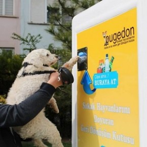 Pugedon: imballaggi in cambio di crocchette per cani e gatti randagi