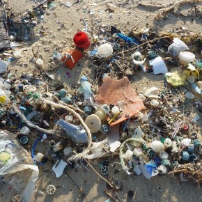 Ripulire gli oceani dalla plastica: l'obiettivo della campagna "CleanSeas" dell'ONU