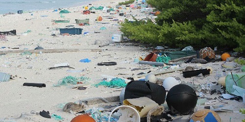L'atollo di Henderson, nel Pacifico del sud, un tempo era un paradiso terrestre. Ora è considerato essere l'isola più inquinata al mondo.