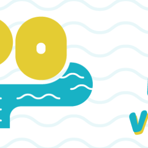 VisPO – Volunteer Initiative for a Sustainable Po, un azione per pulire il Po