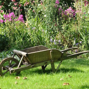 Giardino e orto senza veleni: eliminiamo i pesticidi dagli spazi verdi domestici